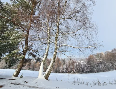 chalet-aura-4