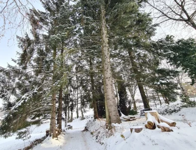 chalet-aura-6