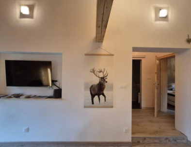 les-chalets-emilie-cocon-salon