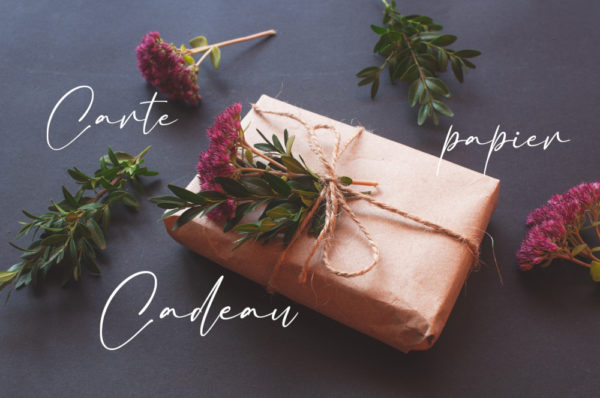 Carte physique papier